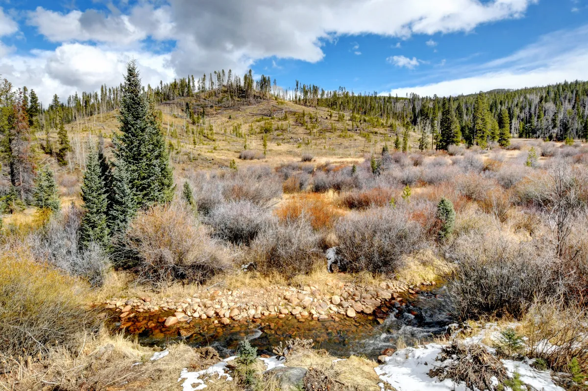 A tranquil stream winds along a rocky bank surrounded by evergreen trees, with gently rolling hills in the background. The setting is serene, ideal for hiking, biking, and soaking in the natural beauty of the Rockies.