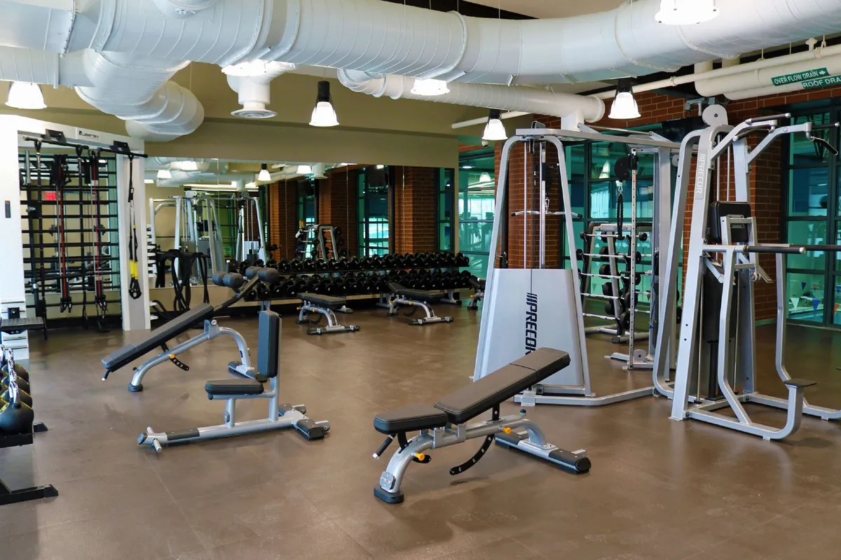 A modern, well-equipped fitness area featuring weight benches, dumbbell racks, and exercise machines, all bathed in natural light. The space is motivational and caters to personal training, group workouts, and achieving fitness goals.